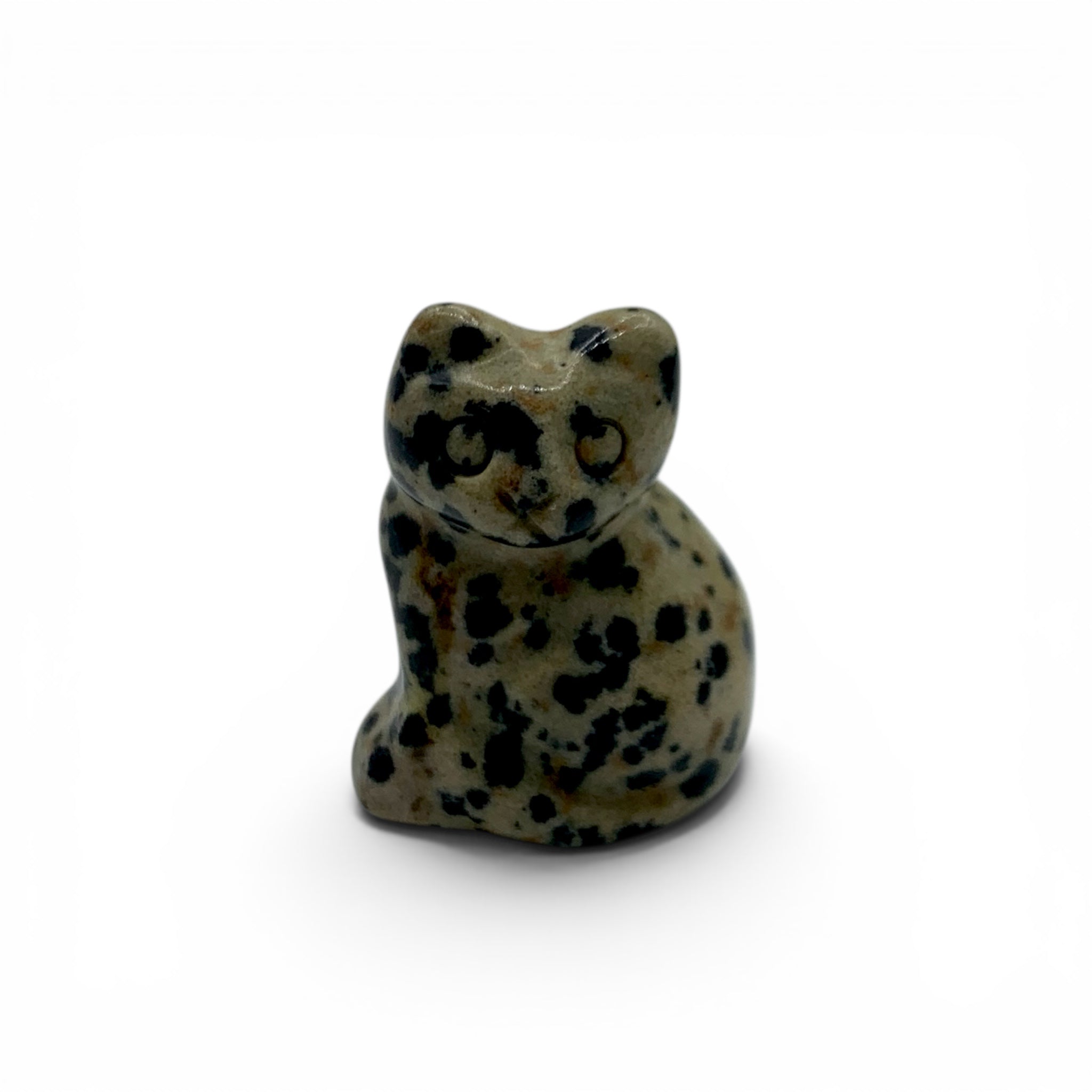 Jasper - Dalmatian Cat $25